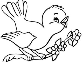 320x240 Bird Coloring Pages For Preschoolers Spring Coloring Pages Bird