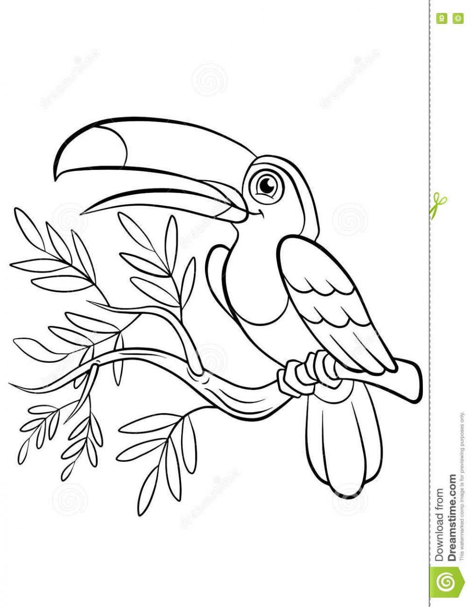 970x1250 Coloring Little Birds Coloring Book Learn Colors With Children