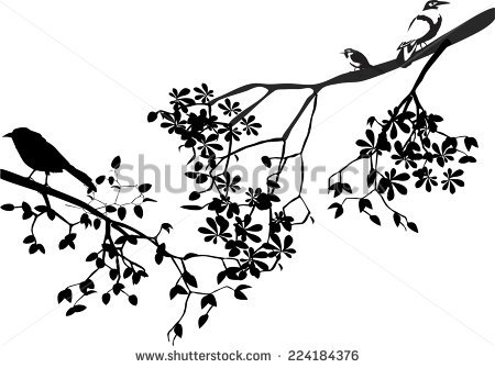 450x335 Drawn Bird Tree Limb