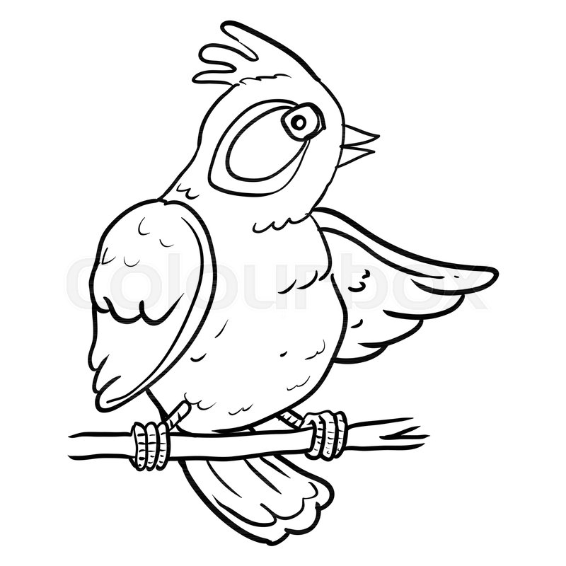 800x800 Hand Drawing Of Cartoon Bird On Branch Tree, Sketch Design
