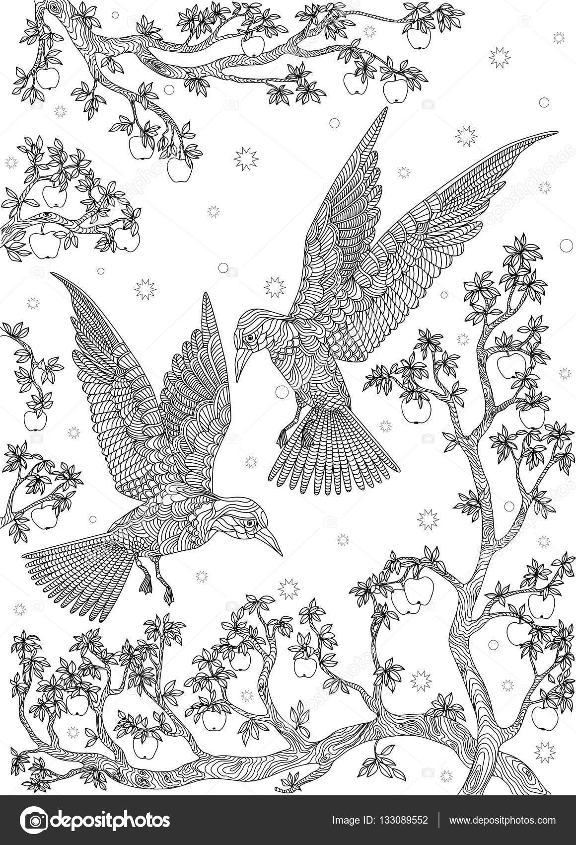 1160x1700 Hand Drawn Bird