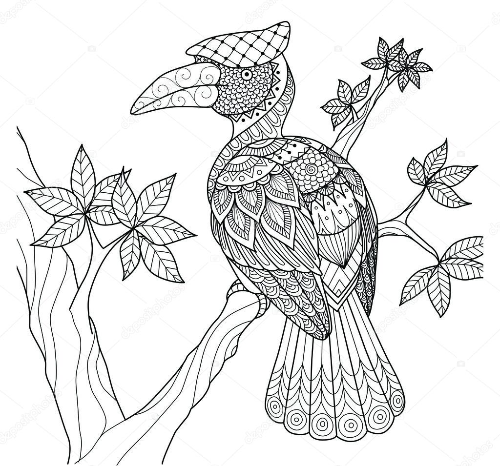 1024x955 Hornbill Bird On The Tree Zentangle Design Coloring Book