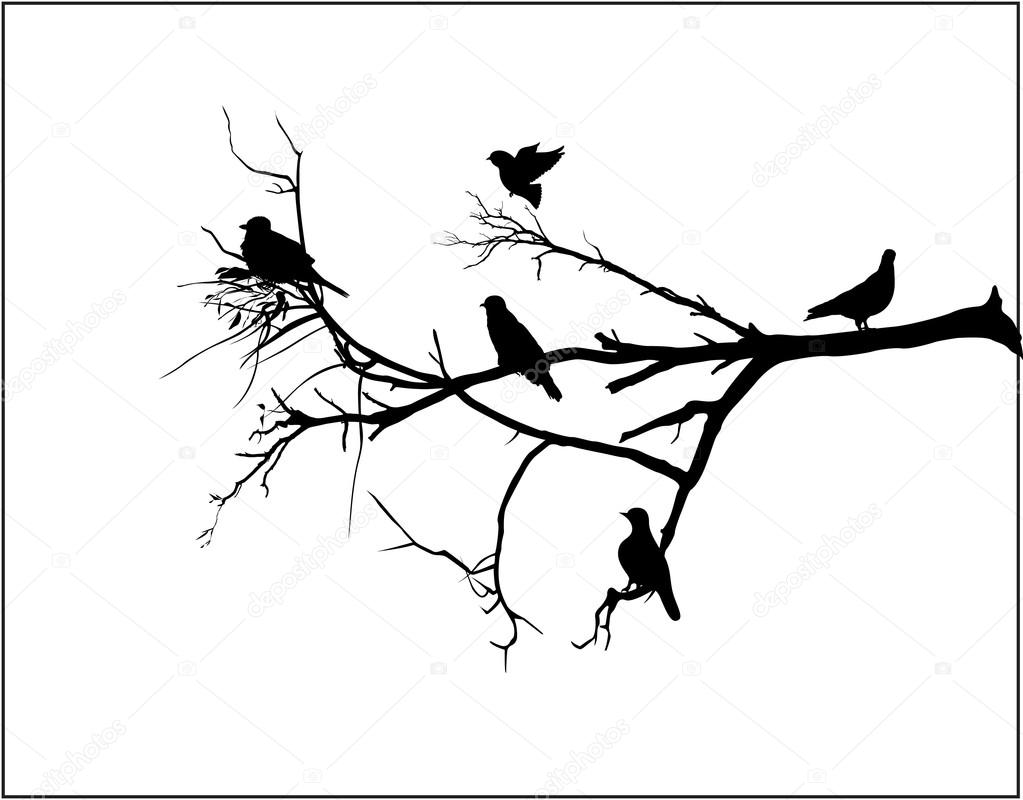 1023x800 Shapes Of Birds Sitting On Tree Branch Stock Vector Baavli