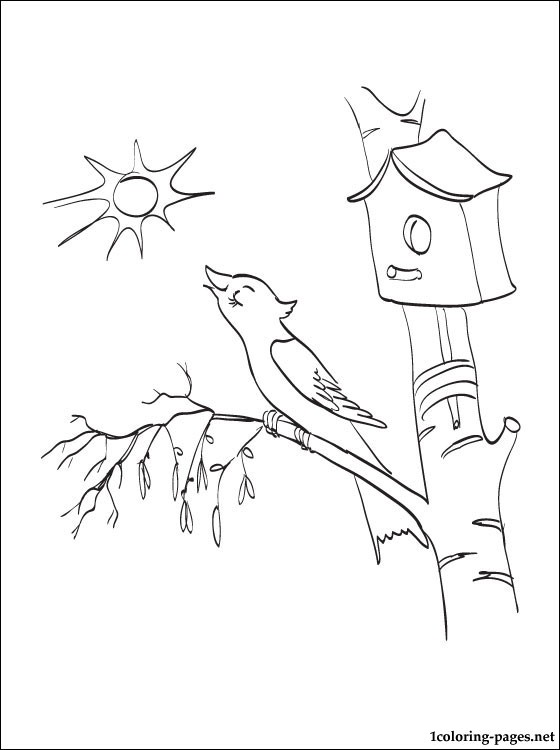 560x750 Spring Coloring Page With The Bird On Birch And Nest Box