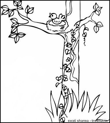 382x425 Trees Coloring Page