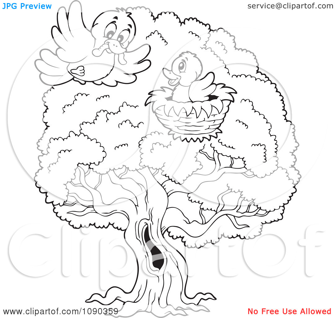 1080x1024 Black And White Birds On Tree Clipart