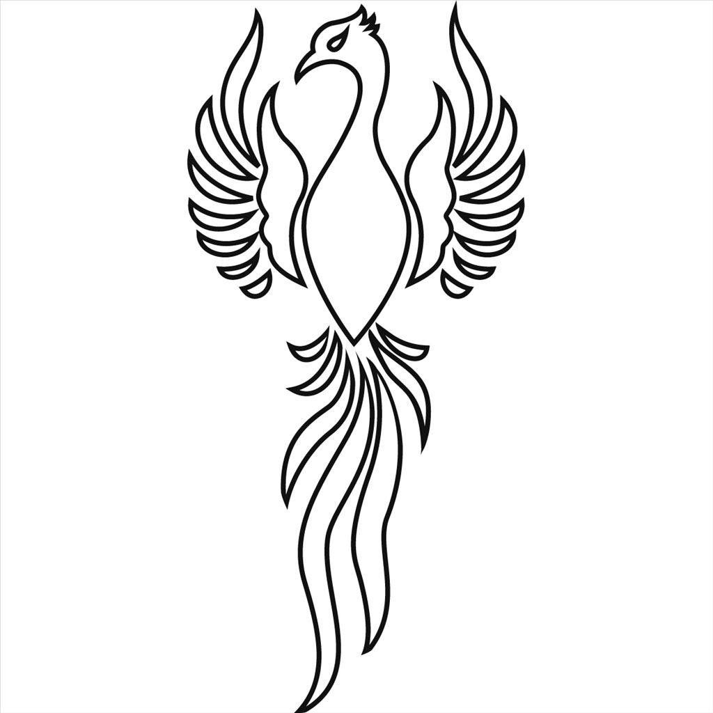 1024x1024 Ideal Bird Outline Drawing Picture Unknown Resolutions High