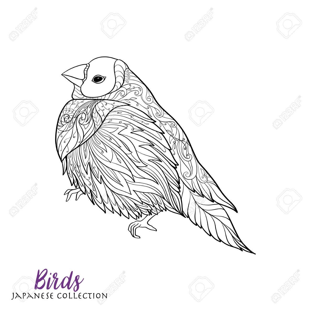 1300x1300 Japanese Birds. Stock Line Vector Illustration. Coloring Book