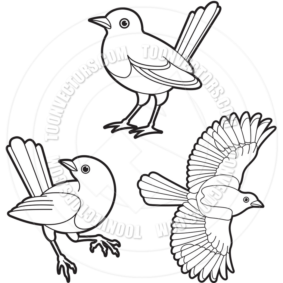 940x940 Willpower Bird Outline Drawing 3359