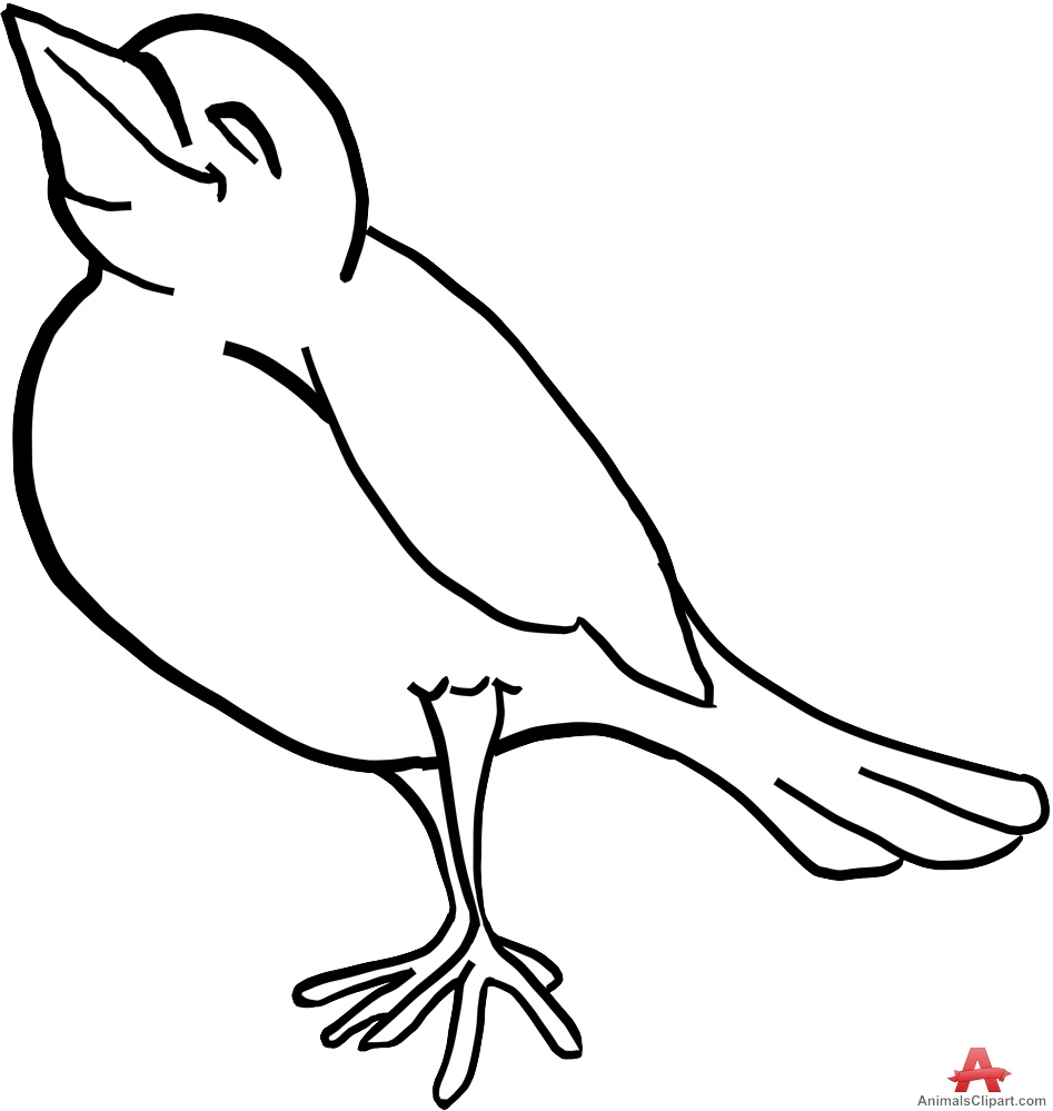 947x999 Bird Outline Drawing Kids Coloring