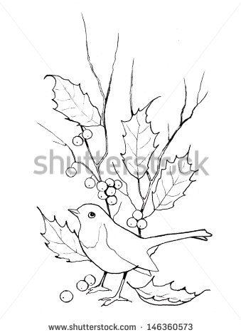 339x470 Christmas Holly With Bird Freehand Outline Drawing Some Moore