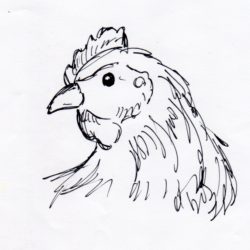 250x250 Chicken Drawing, Pencil, Sketch, Colorful, Realistic Art Images