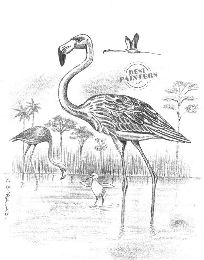 700x890 Paintings By C.s.prasad