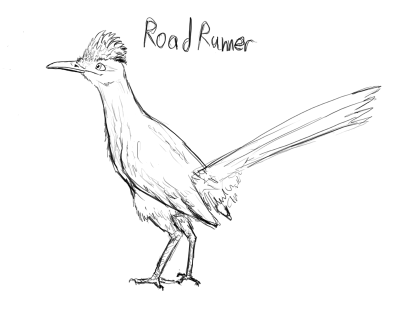 806x670 Desert Birds