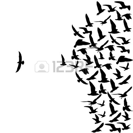 450x450 Silhouette Group Of Flying Seagull Birds With One Individual