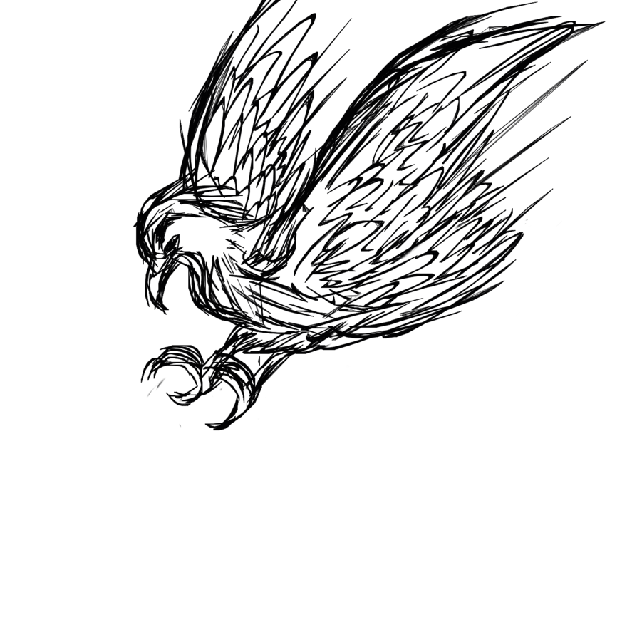 894x894 Attacking Bird By Robianshadow