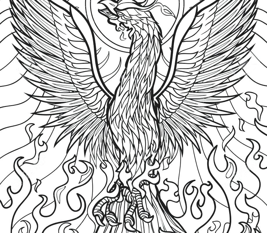918x800 Awesome Printable Animal Coloring Pages Kids Phoenix Page In By