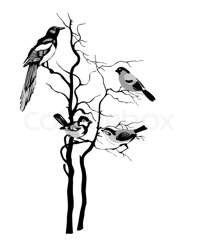 676x800 Birds Silhouette On White Background, Vector Illustration Stock