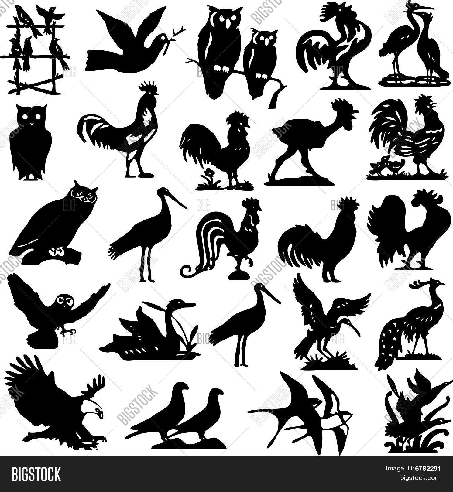 1491x1620 Pieces Detailed Vectoral Bird Vector Amp Photo Bigstock