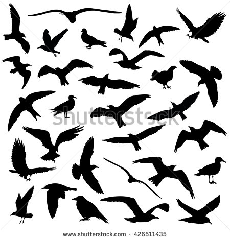 450x470 Set Of Birds Silhouettes 30 In 1 On White Background. Vector