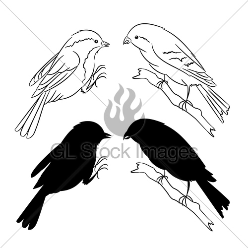 500x500 The Outline And Of The Silhouette Of The Birds Set Of Thr Gl