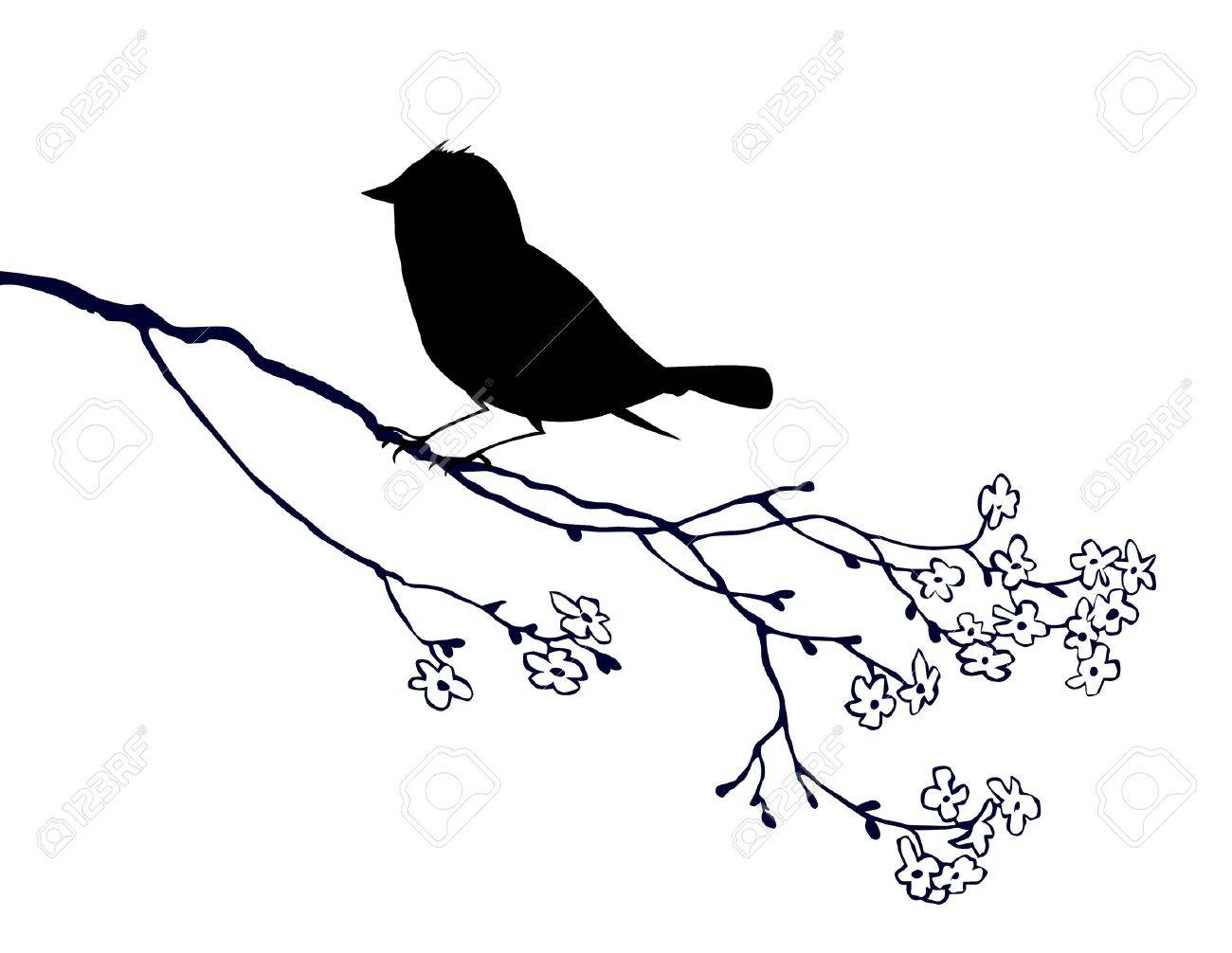 1300x1006 Vector Bird Silhouette On White Background, Vector Illustration