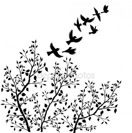 447x450 Vector Flying Birds Silhouettes And Tree Foliage Stock Vector