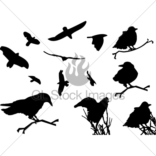 500x500 Bird Silhouette Animal Clip Art Gl Stock Images