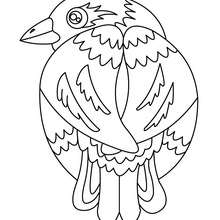 220x220 Bird Sitting On A Branch Coloring Pages