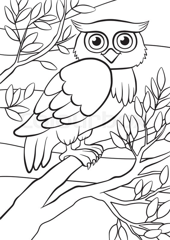 566x800 Cartoon Birds For Kids. Little Cute Owl Sits On The Tree Branch