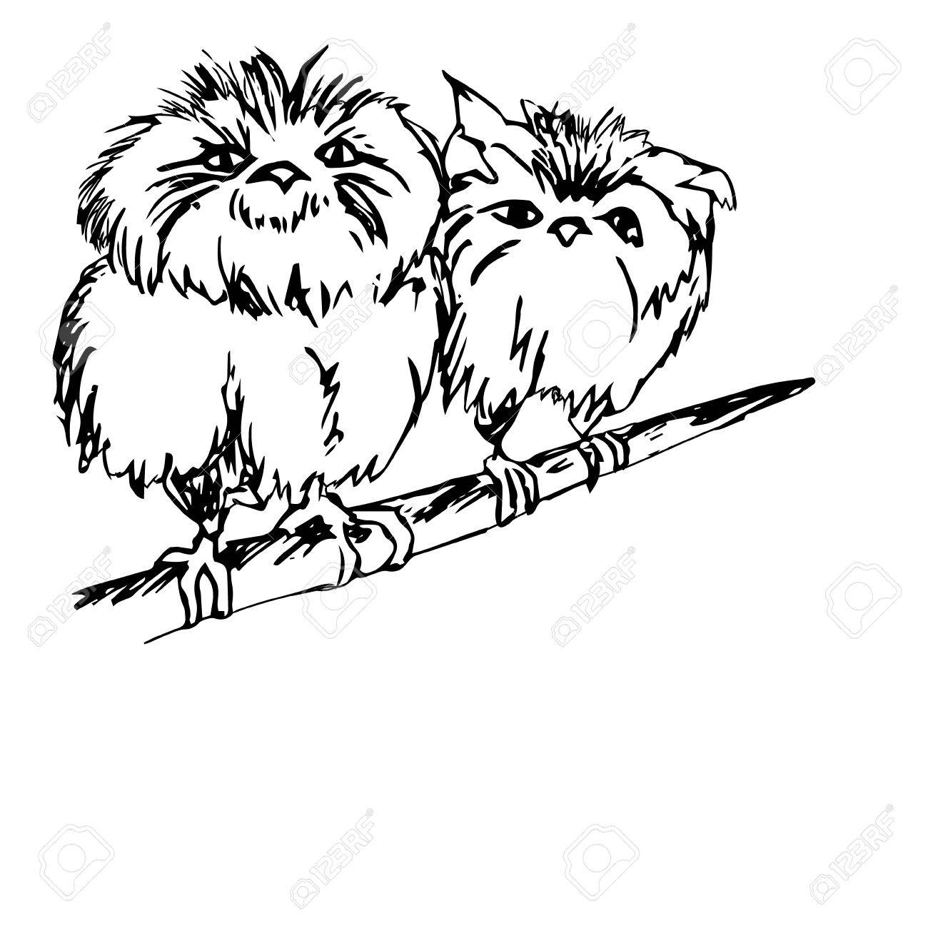 1300x1300 Graphic Image Of An Owl, Two Birds. Two Chicks Sitting On A Branch