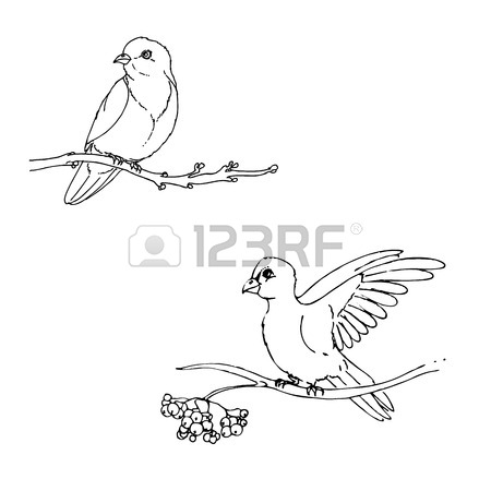 450x450 Hand Drawn Vector Illustration Of Doodle Bird Sitting On Branch