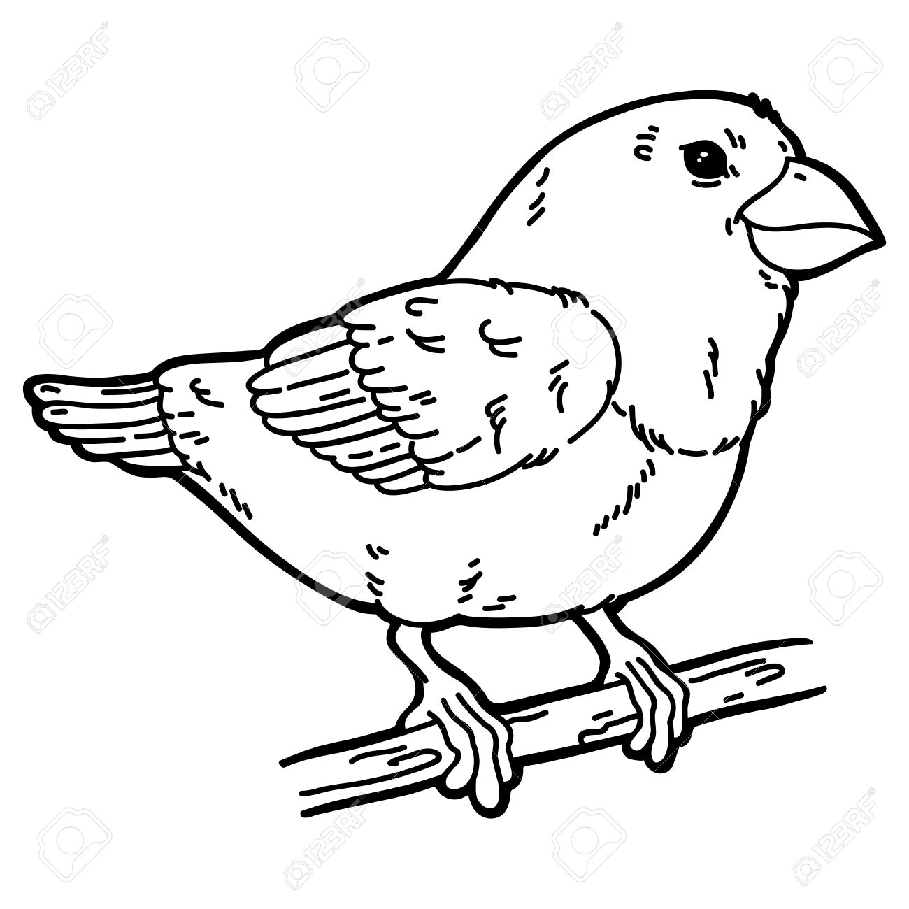 1300x1300 Image Result For Outline Of Bird Bird Outline Ideas