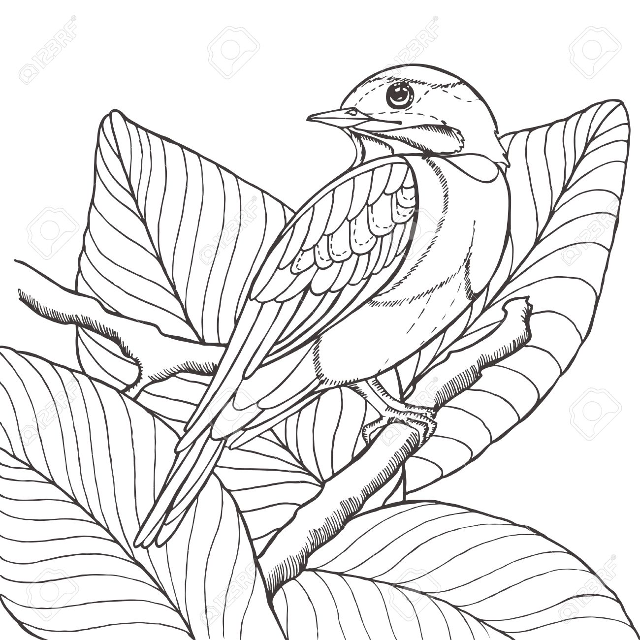 1300x1300 Sketch Of Tropical Bird Sitting On Branch In Leaves. Imitation