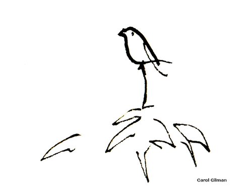500x381 Sketch Of The Day ~ Petula Sitting On Bird Hotel