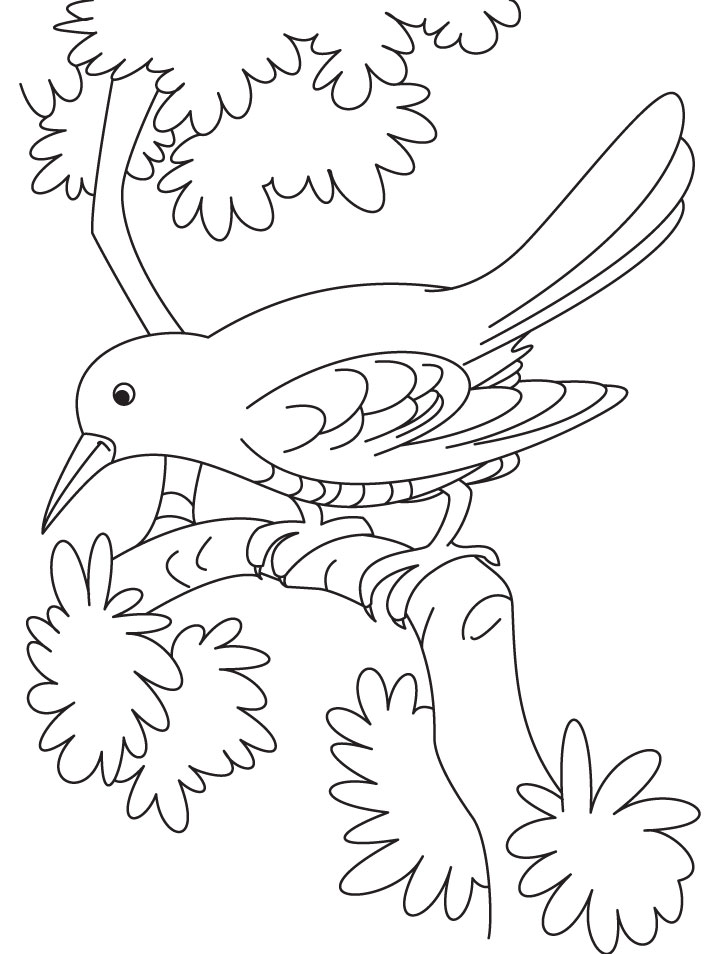720x954 Sad Cuckoo Bird Sitting On A Branch Coloring Page Download Free