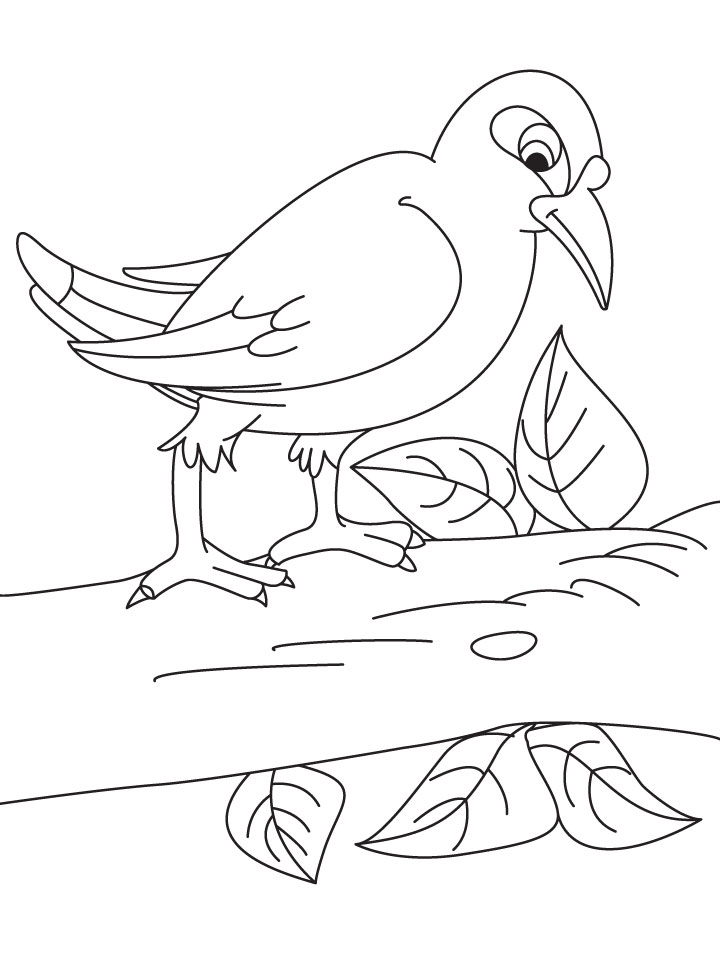 720x954 A Myna Bird Is Sitting On The Branch Coloring Page Download Free