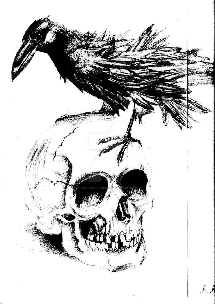 900x1272 The Crow And The Skull By Darkangel3090