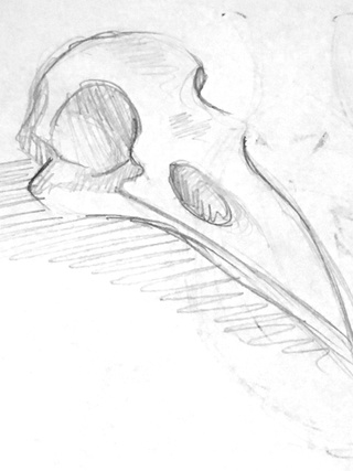 320x427 Pencilsketchart Drawings On Paigeeworld. Pictures