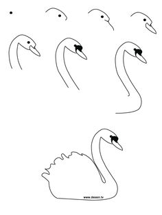 236x314 Drawn Swan Simple