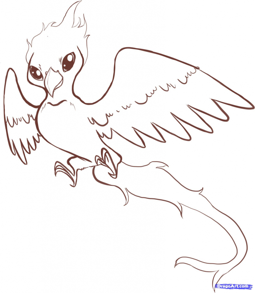 891x1024 How Do I Draw A Bird How To Draw A Phoenix Fire Bird Step Step