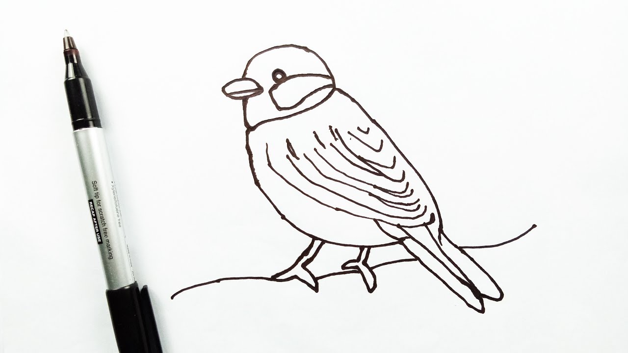 1280x720 How To Draw A Bird Step By Step Video Drawing Bird For Beginners