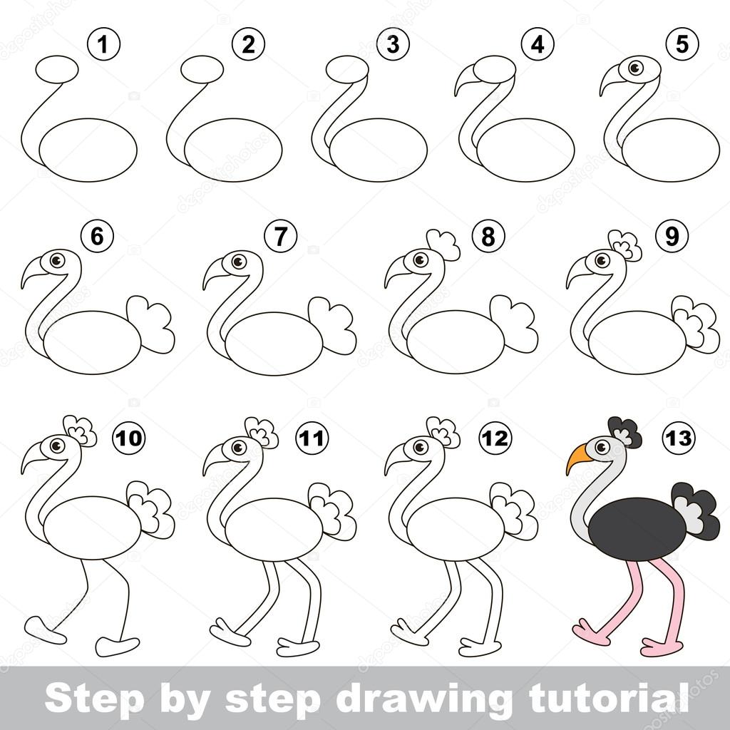 1024x1024 Ostrich. Drawing Tutorial. Stock Vector Anna Mikhailova