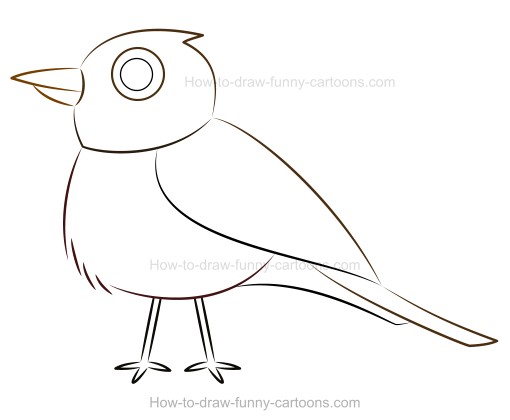 510x420 How To Draw A Robin Step By Step How To Draw A Cartoon Robin