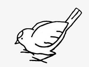 300x225 Hand Painted Birds, Stick Figure, Black And White, Simple Hand