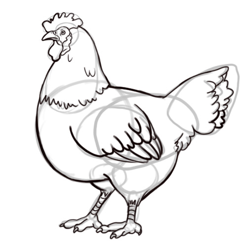 500x500 3 Ways To Draw A Chicken