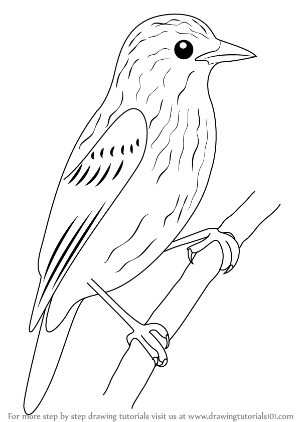 Bird Stick Drawing at GetDrawings | Free download