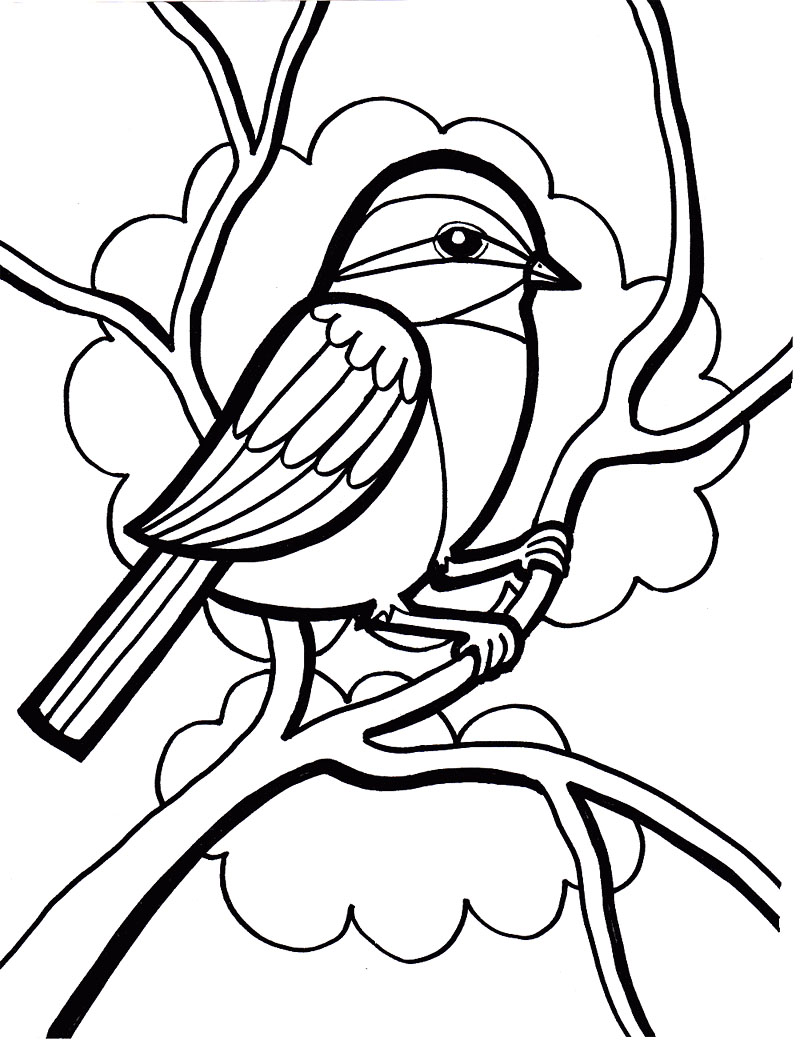 800x1041 Bird Coloring Lesson Coloring Pages For Kids Coloring Lesson