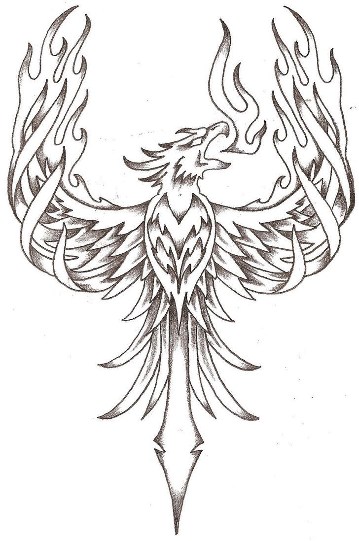 728x1098 Collection Of Phoenix Outline Tattoo Page