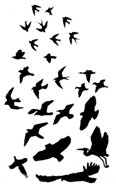 393x640 Fabulous Silhouette Of Flying Bird Tattoo Design